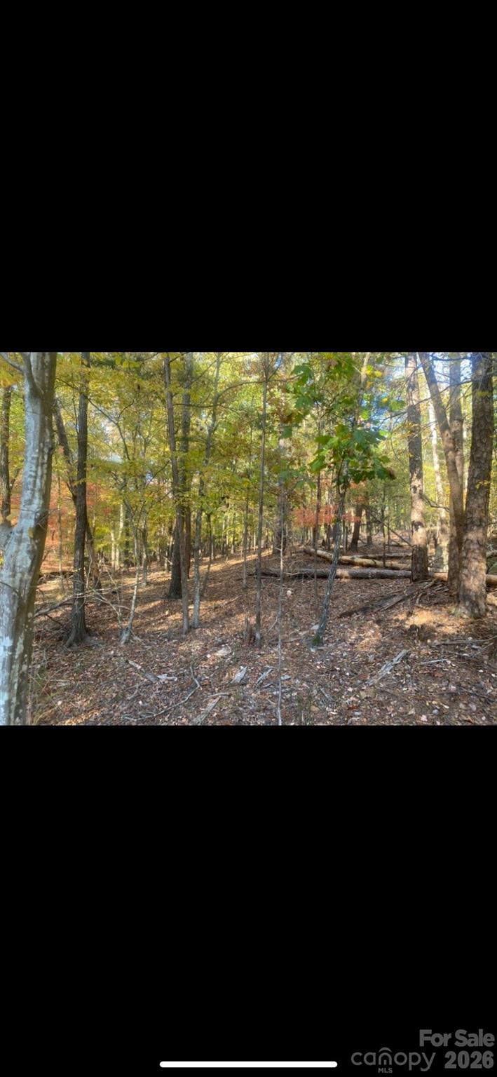 4151 Concord Road Unit: 12