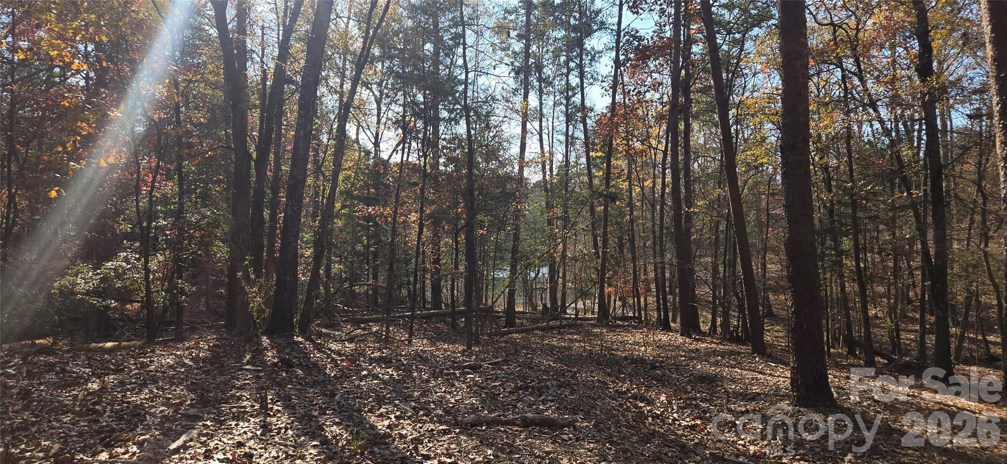 4151 Concord Road Unit: 12