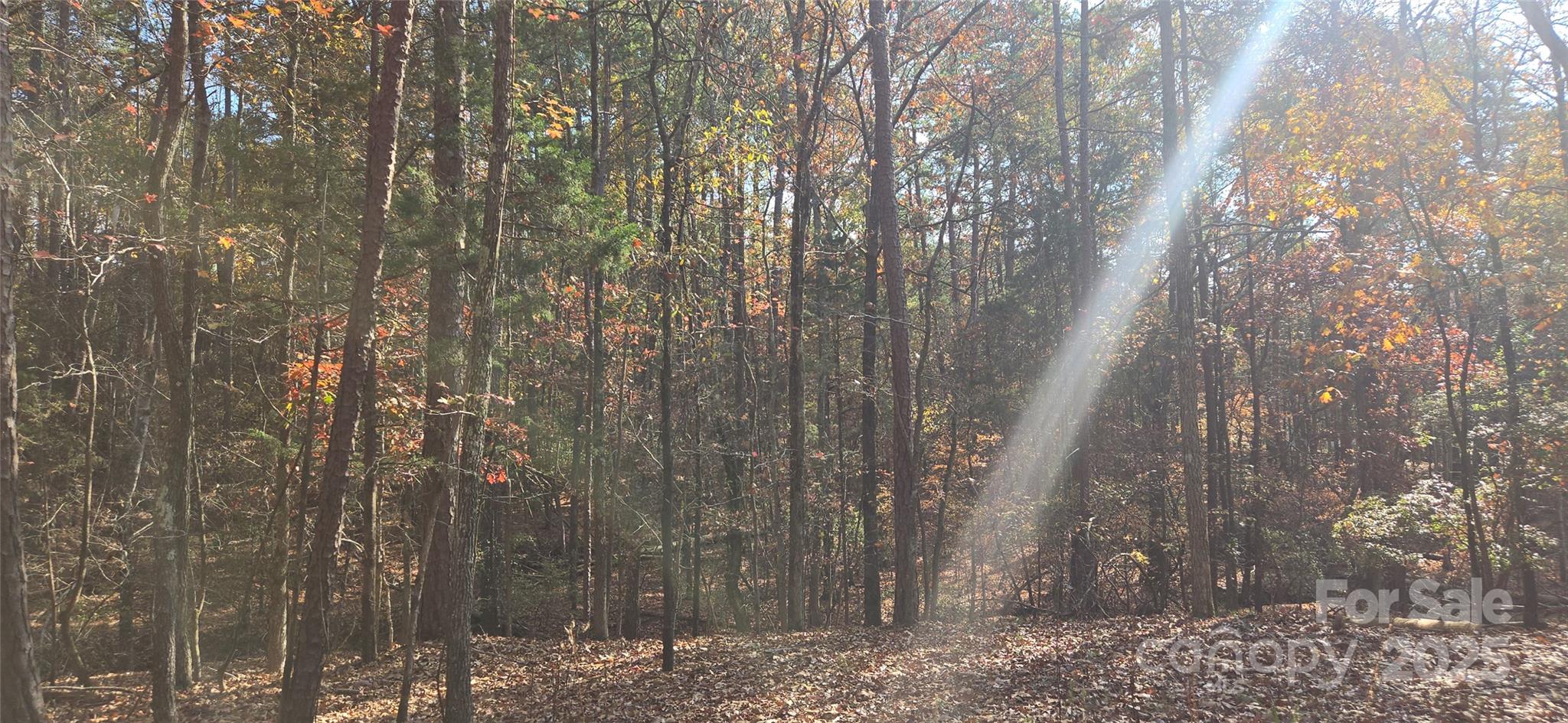 4151 Concord Road Unit: 12