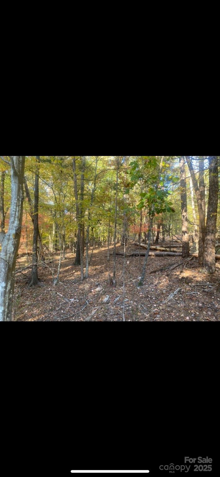 4151 Concord Road Unit: 12