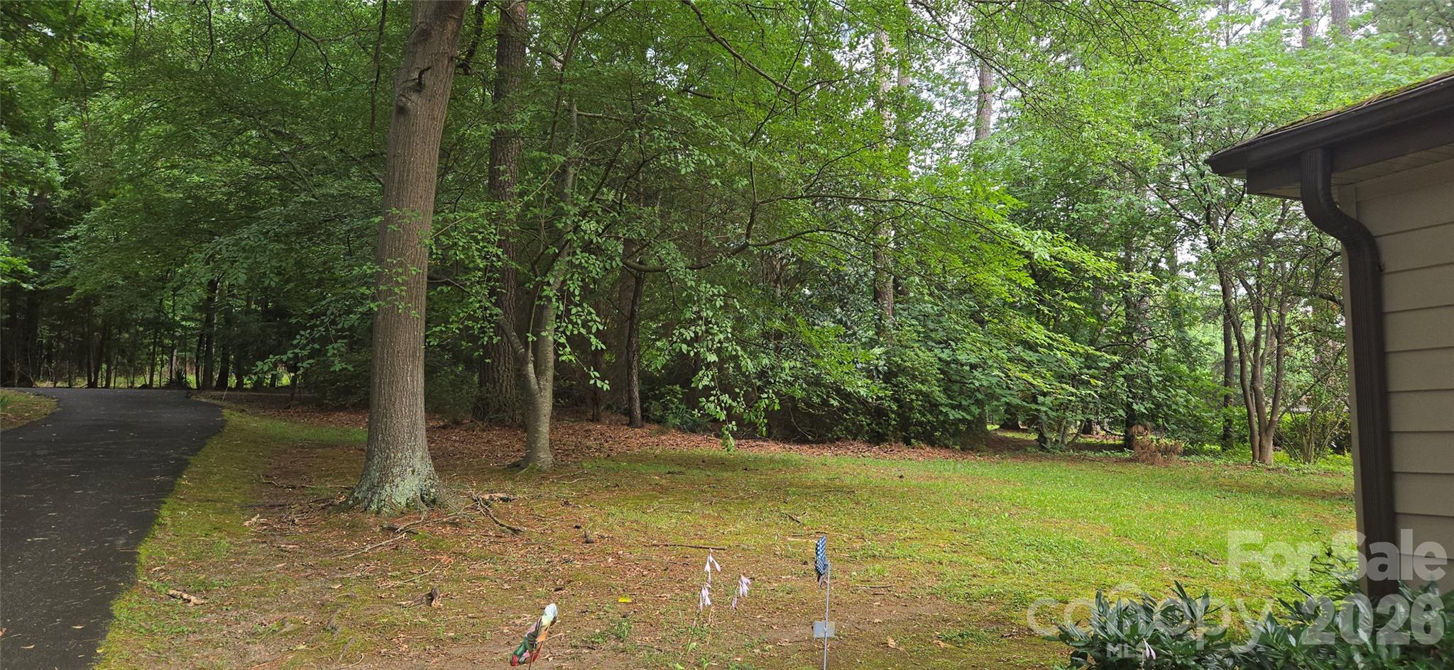 565 Bonum Road