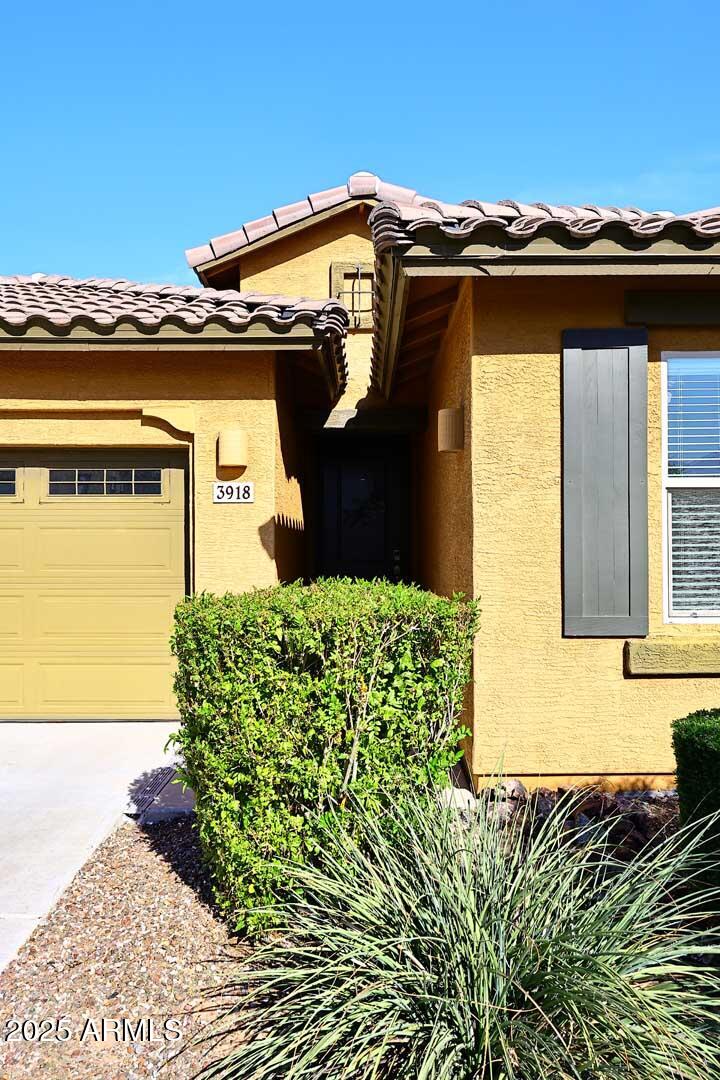 3918 E NARROWLEAF Drive