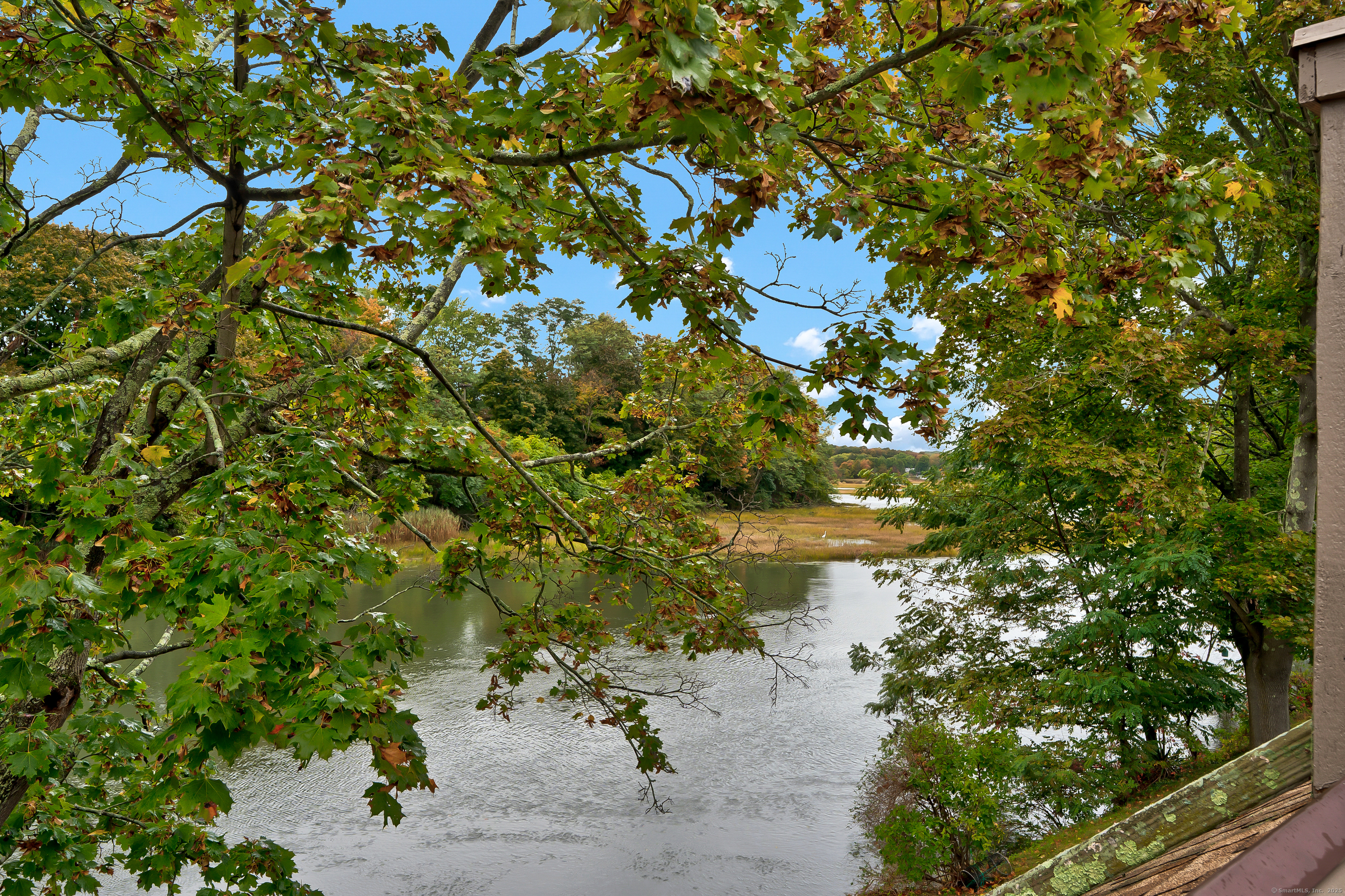 16 Pine Orchard Road APT 23