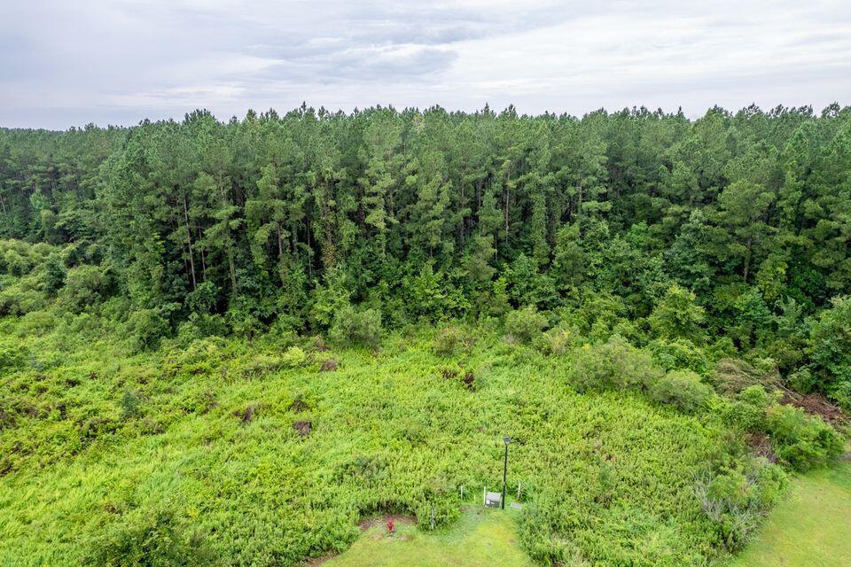 1336 Wood Sorrel Drive