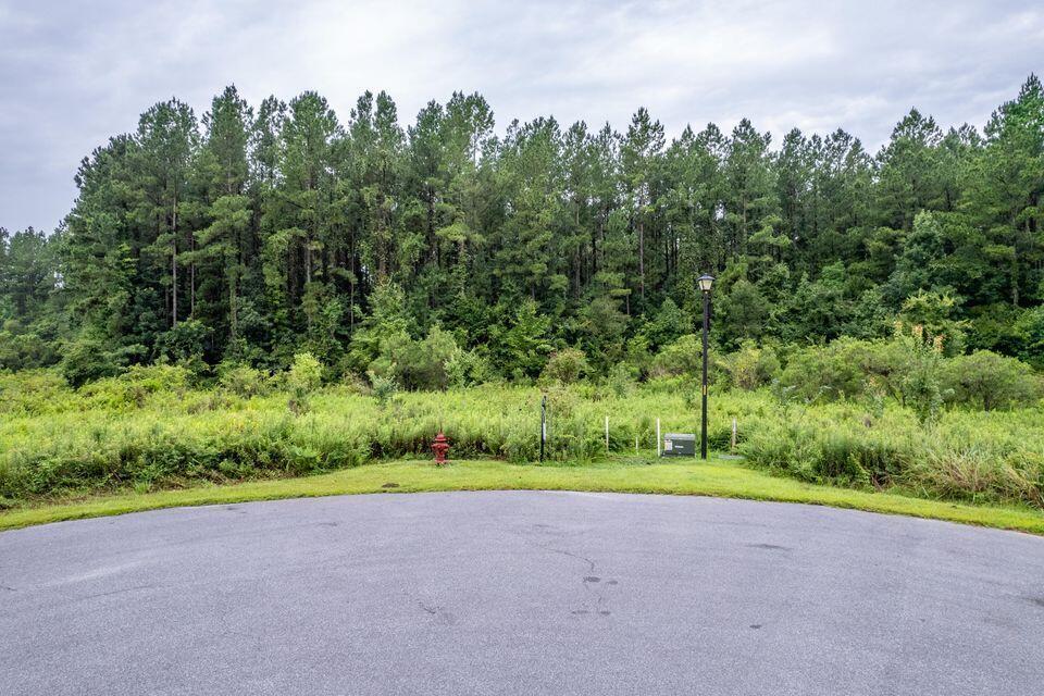 1336 Wood Sorrel Drive
