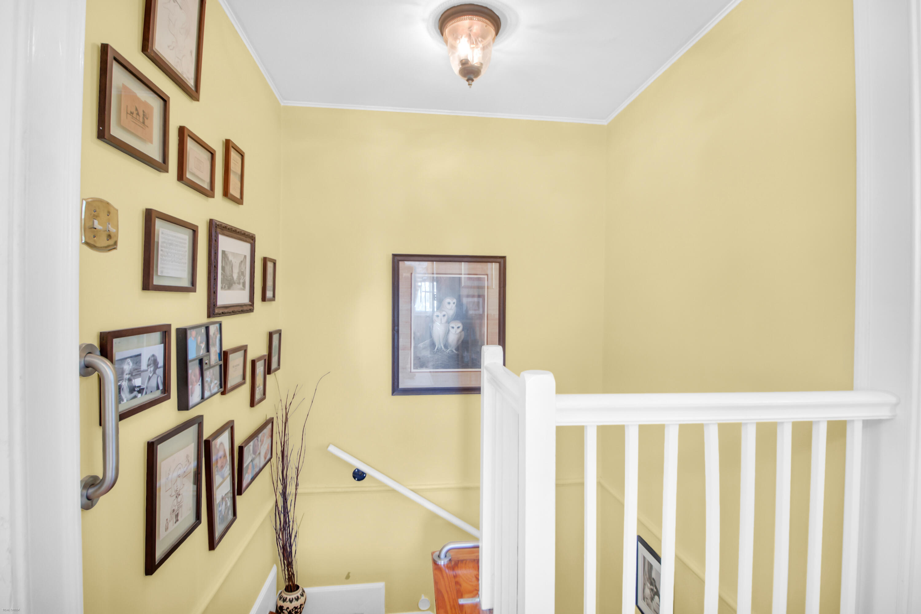 3 Shaftsbury Lane