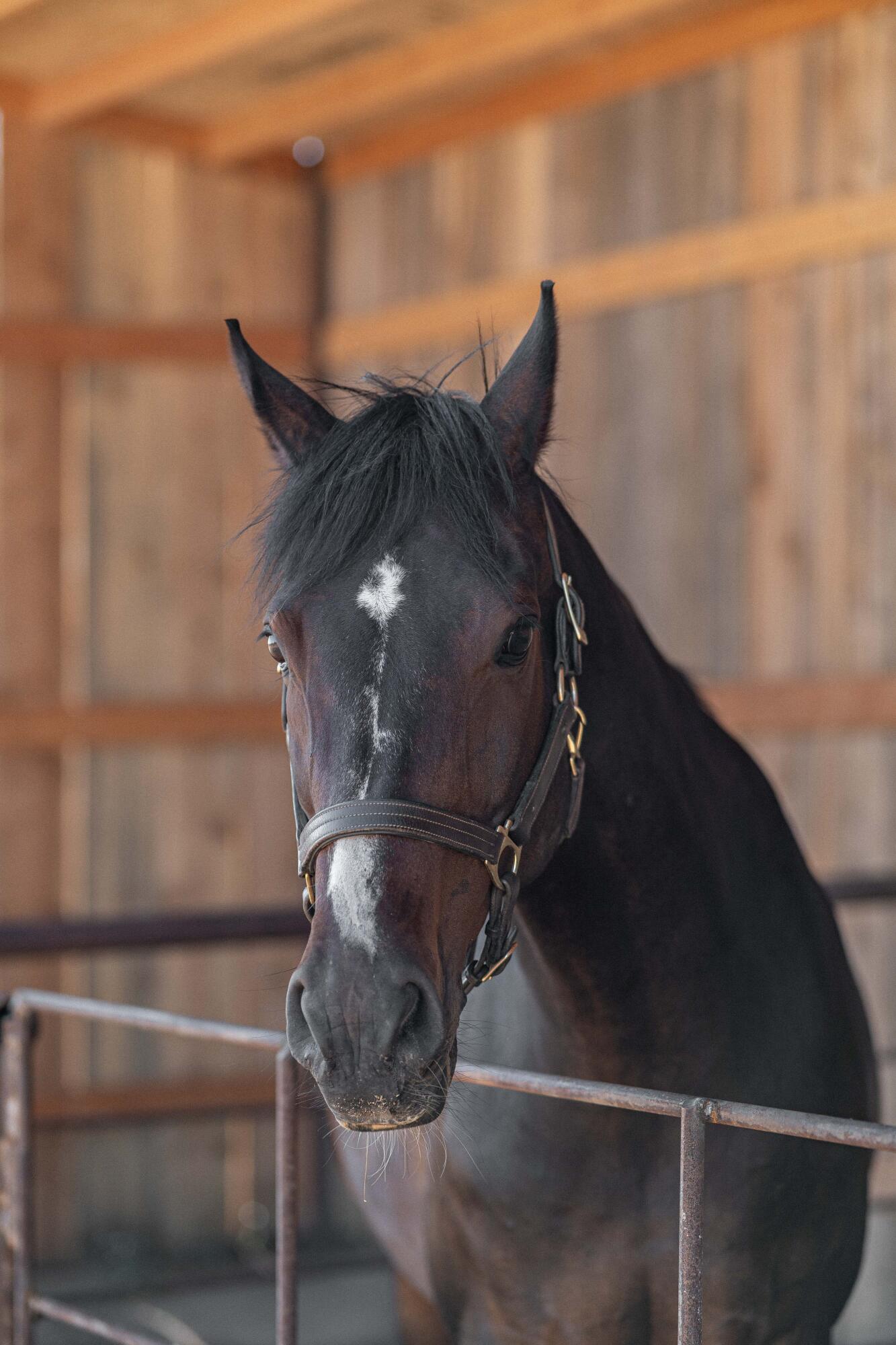 23636 Ten Barr Trail