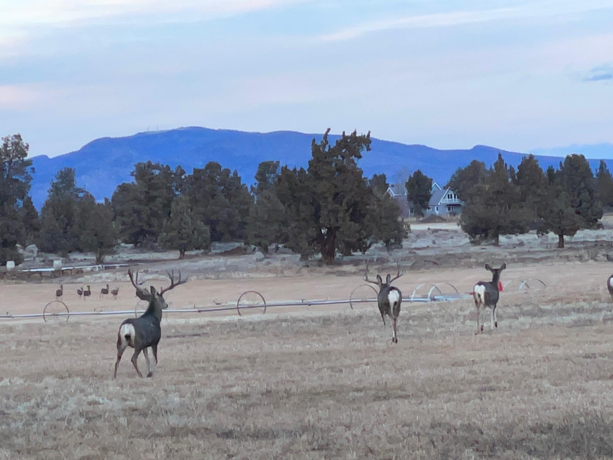 23636 Ten Barr Trail