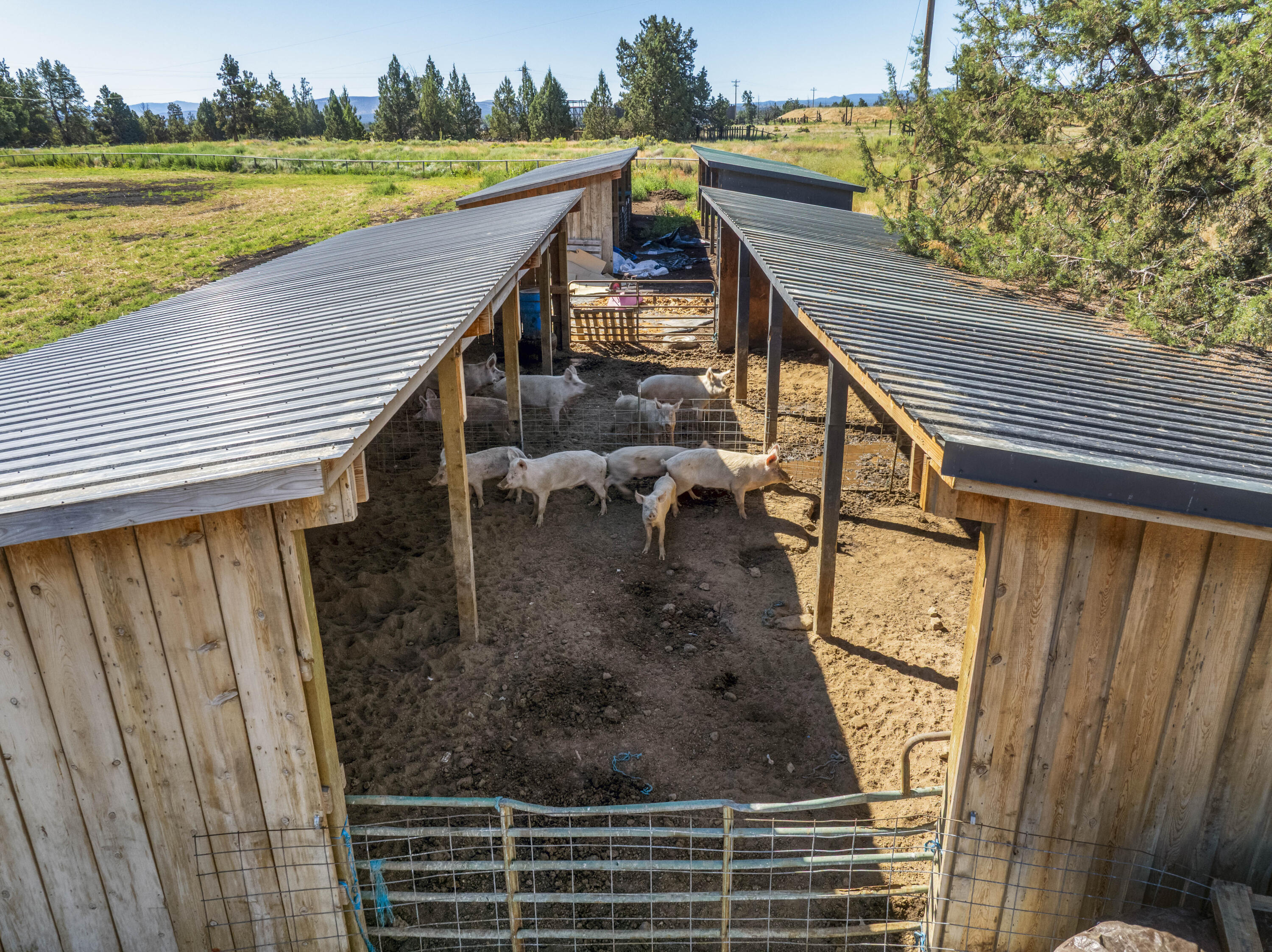 23636 Ten Barr Trail