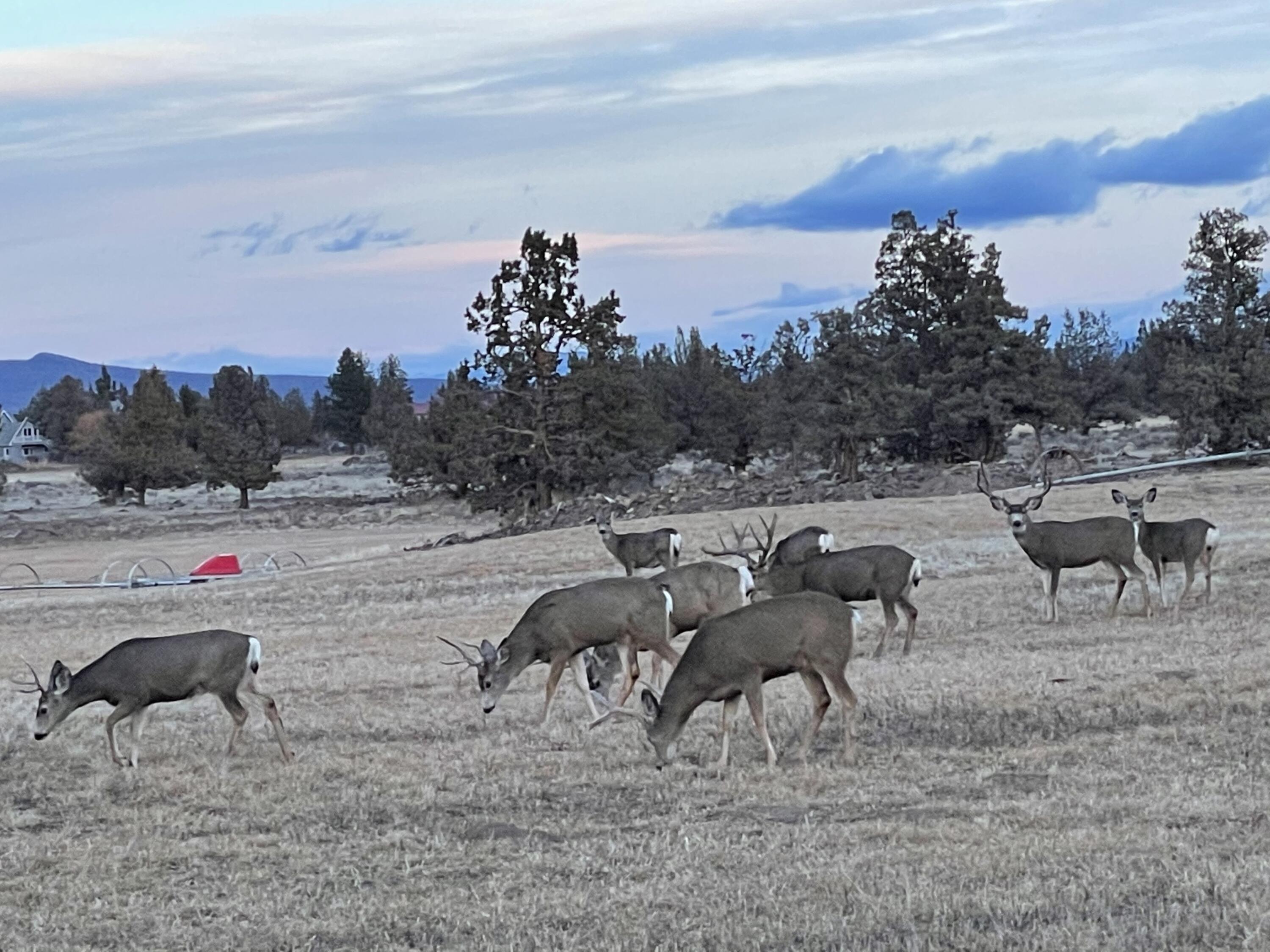 23636 Ten Barr Trail