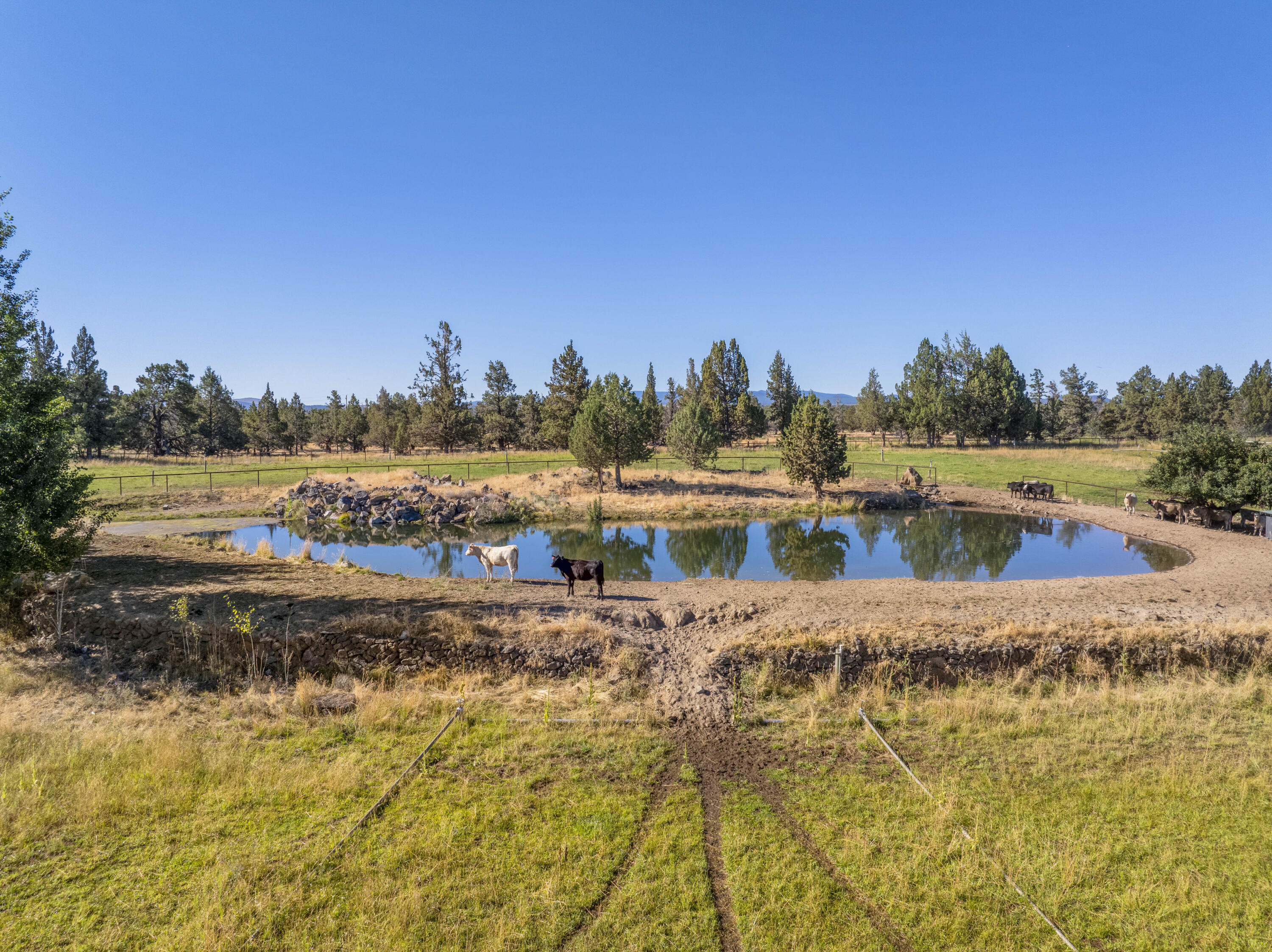 23636 Ten Barr Trail