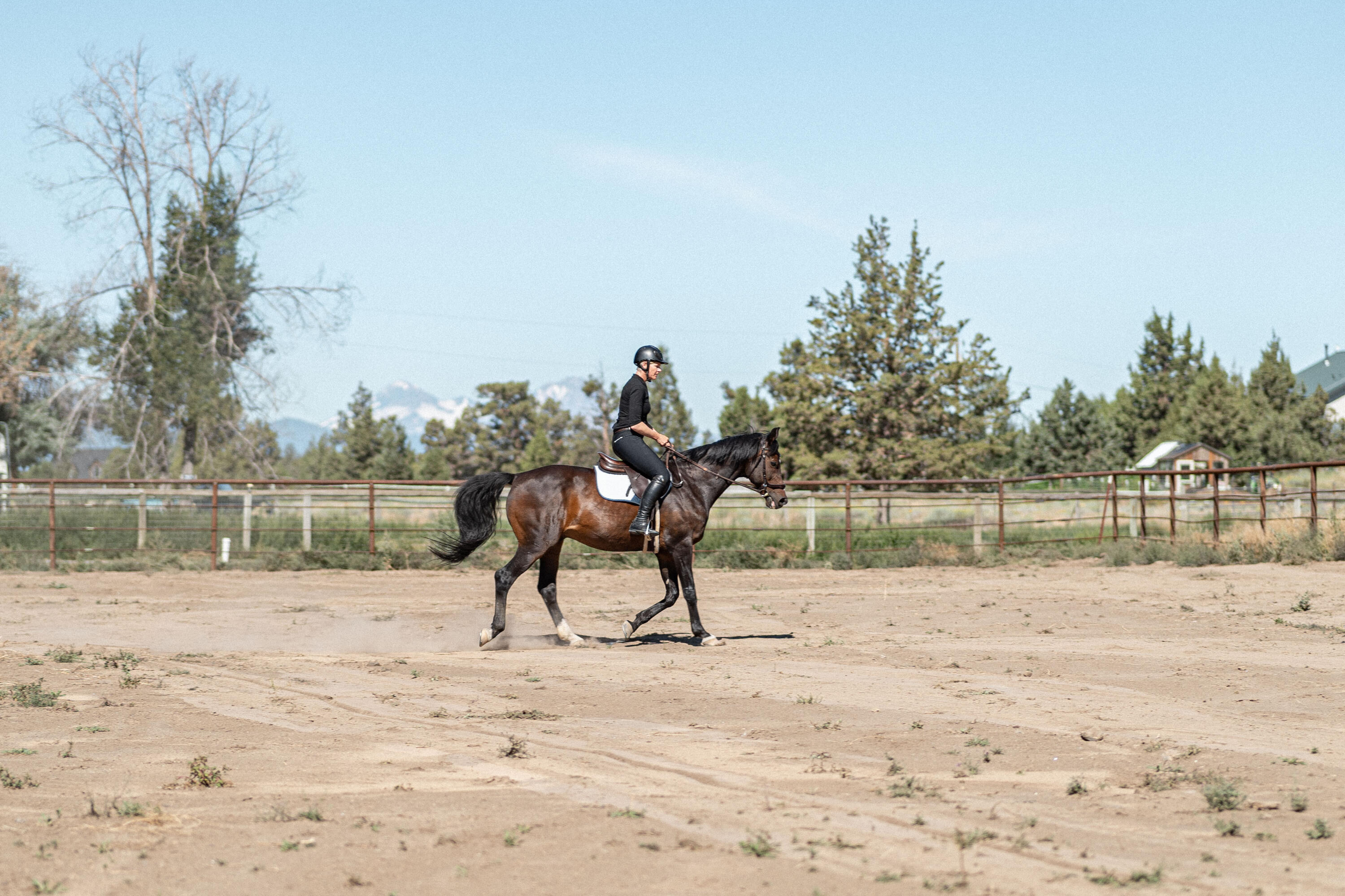 23636 Ten Barr Trail