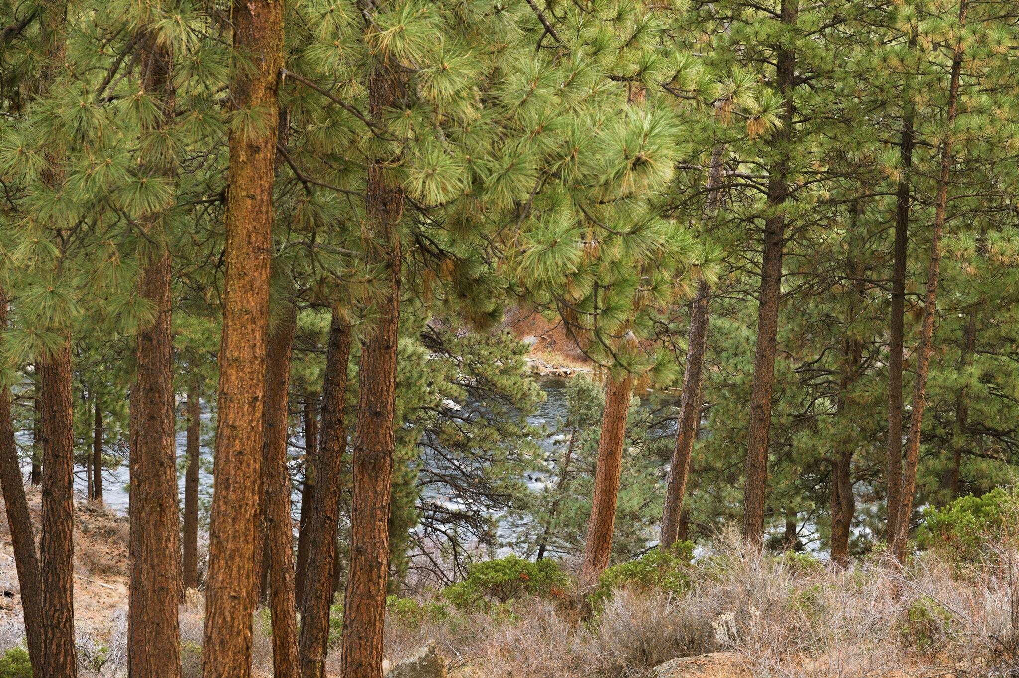 61299 Big Eddy Circle