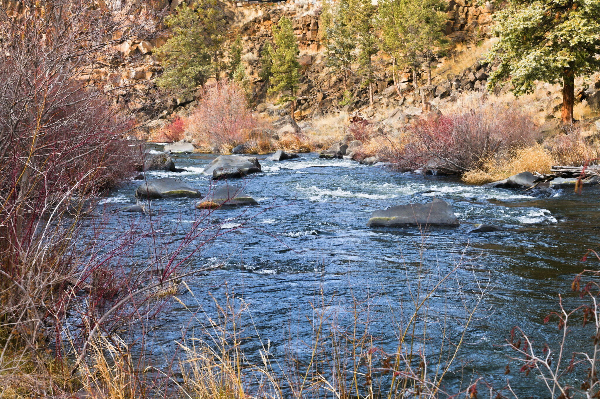 800 NW Archie Briggs Road