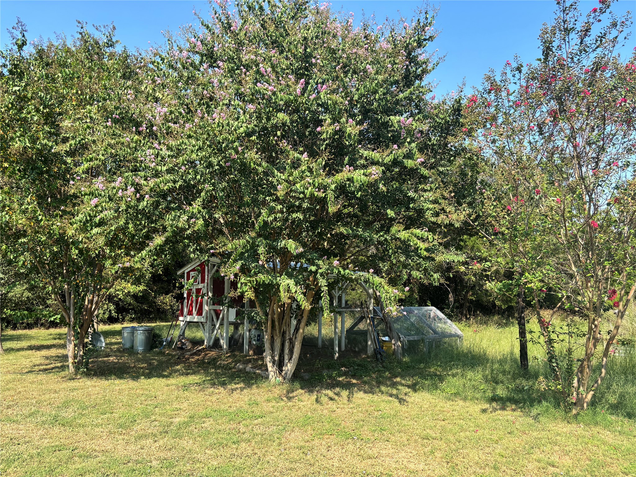 878 Shady Lane