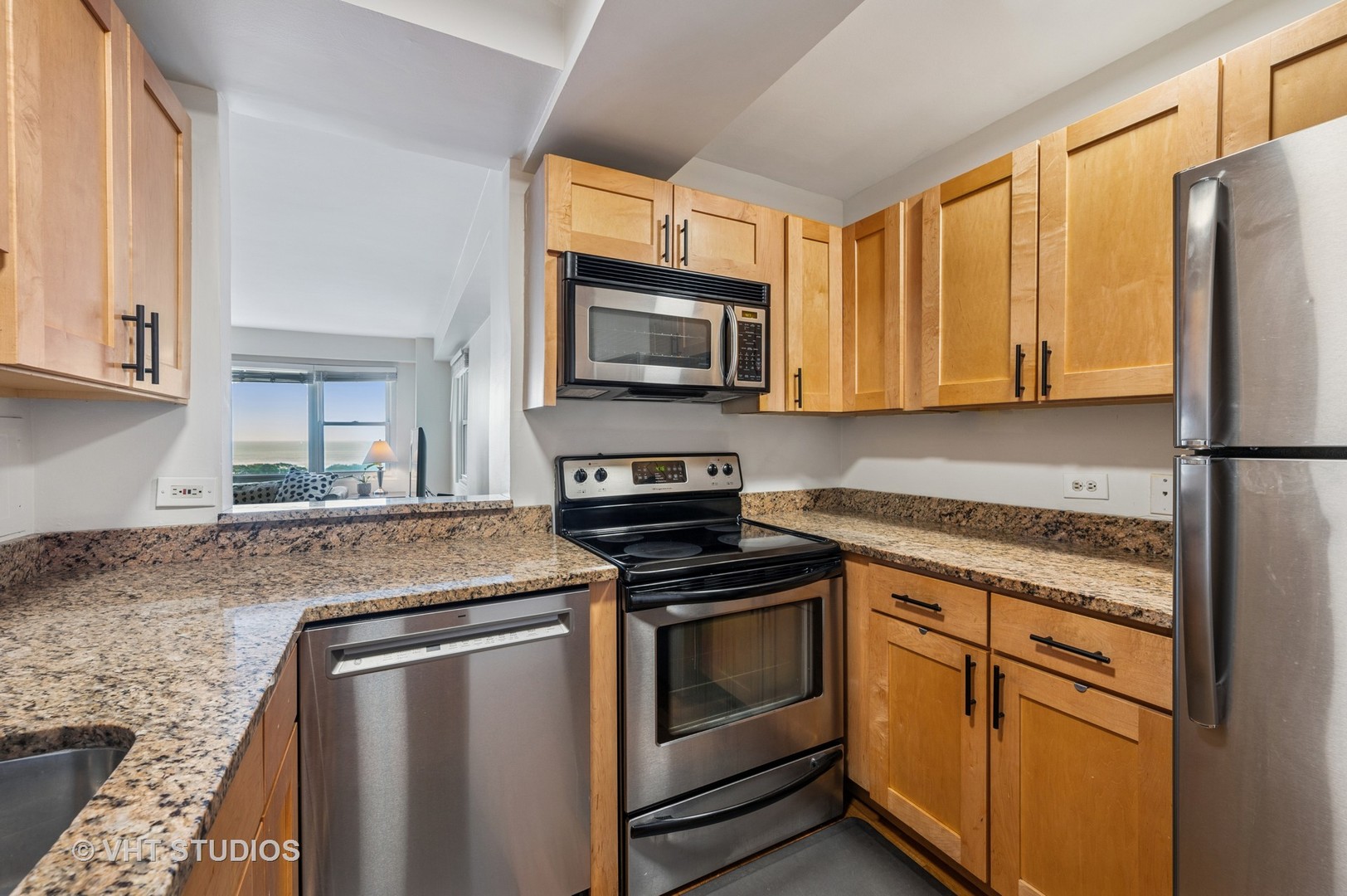 2909 N SHERIDAN Road Unit: 1309