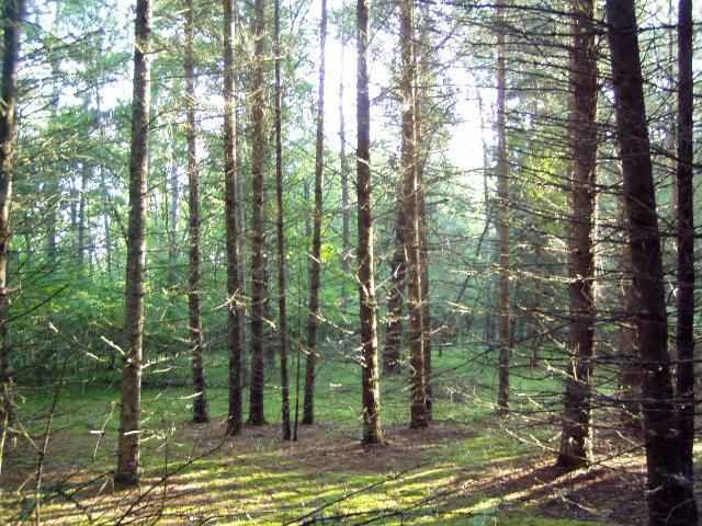 Lot 2 Blk 1 Falling Leaf Trail