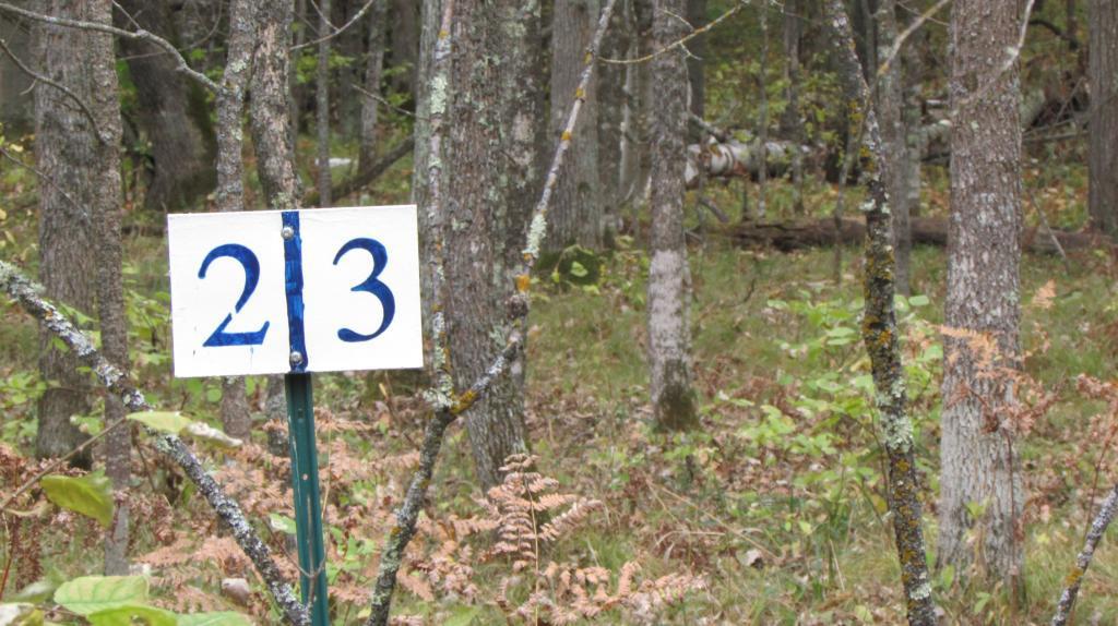 Lot 2 Blk 1 Falling Leaf Trail