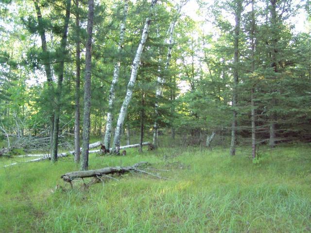 Lot 2 Blk 1 Falling Leaf Trail