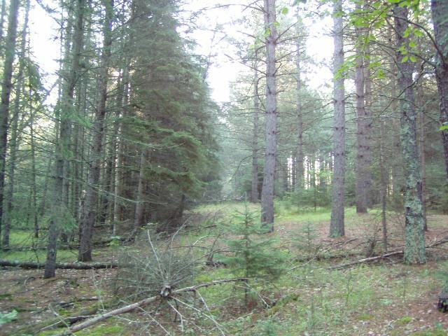 Lot 2 Blk 1 Falling Leaf Trail
