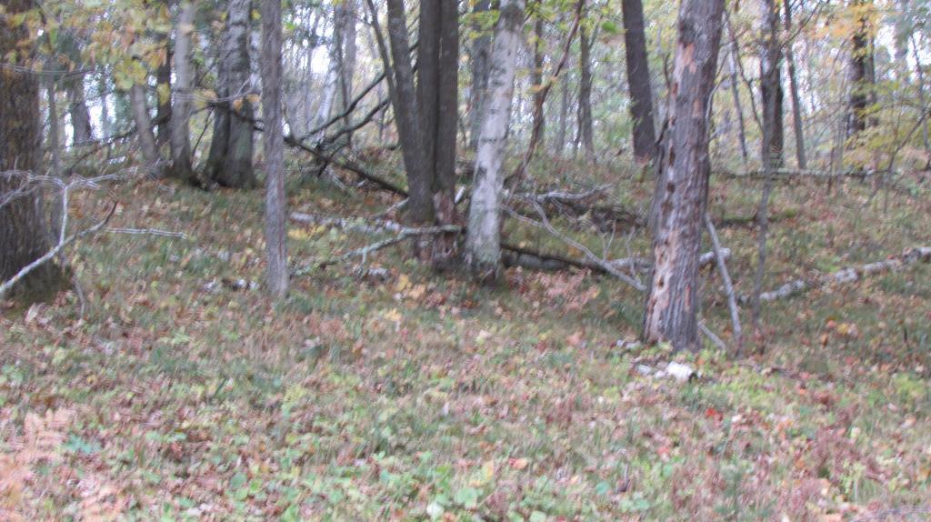 Lot 5 Blk 1 Falling Leaf Trail