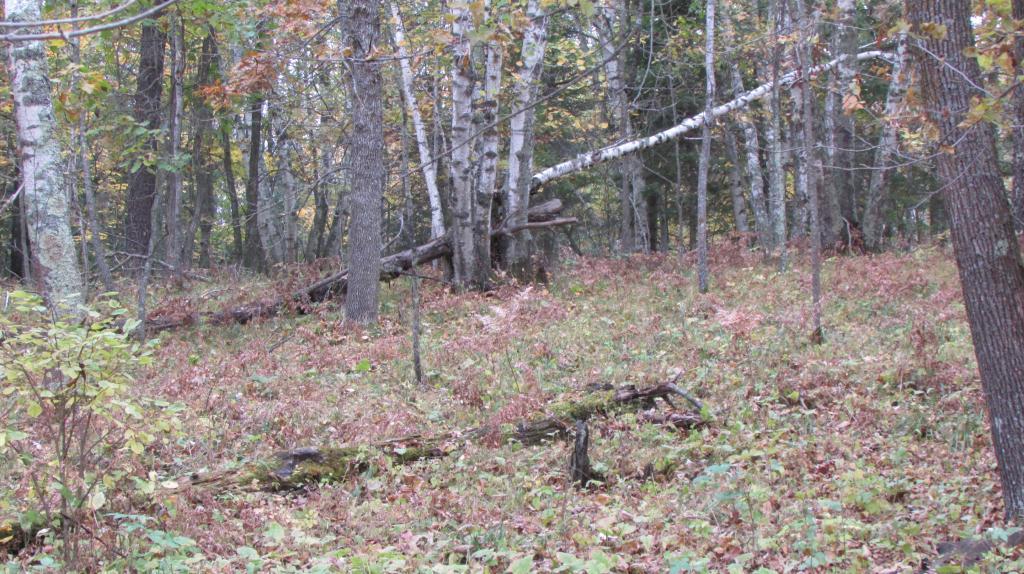 Lot 5 Blk 1 Falling Leaf Trail