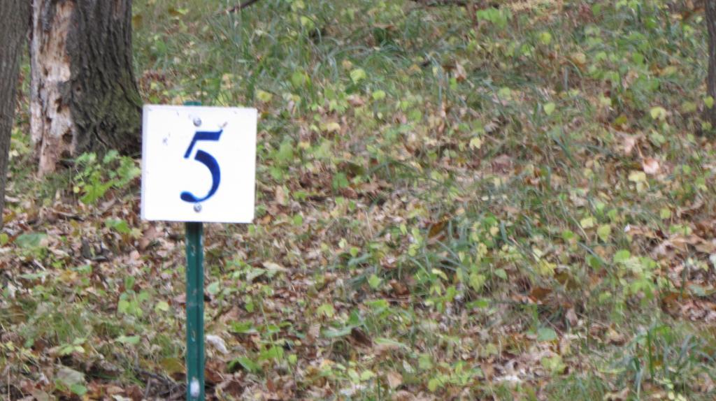 Lot 5 Blk 1 Falling Leaf Trail