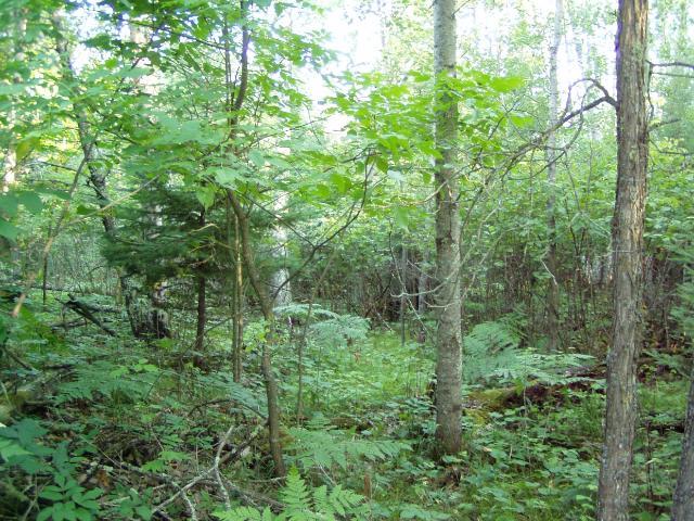 Lot 8 Blk 1 Falling Leaf Trail