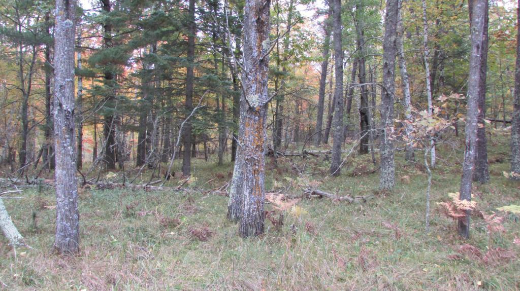 Lot 9 Blk 1 Falling Leaf Trail