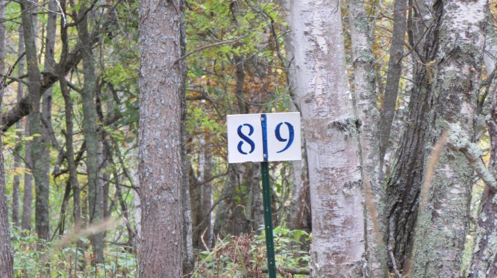 Lot 9 Blk 1 Falling Leaf Trail