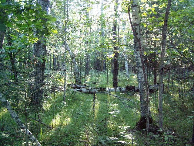Lot 9 Blk 1 Falling Leaf Trail
