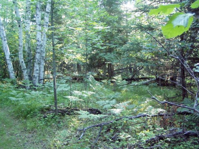 Lot 9 Blk 1 Falling Leaf Trail