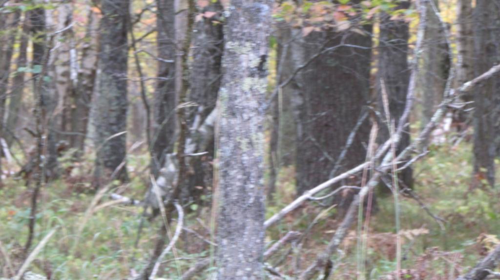 Lot 9 Blk 1 Falling Leaf Trail