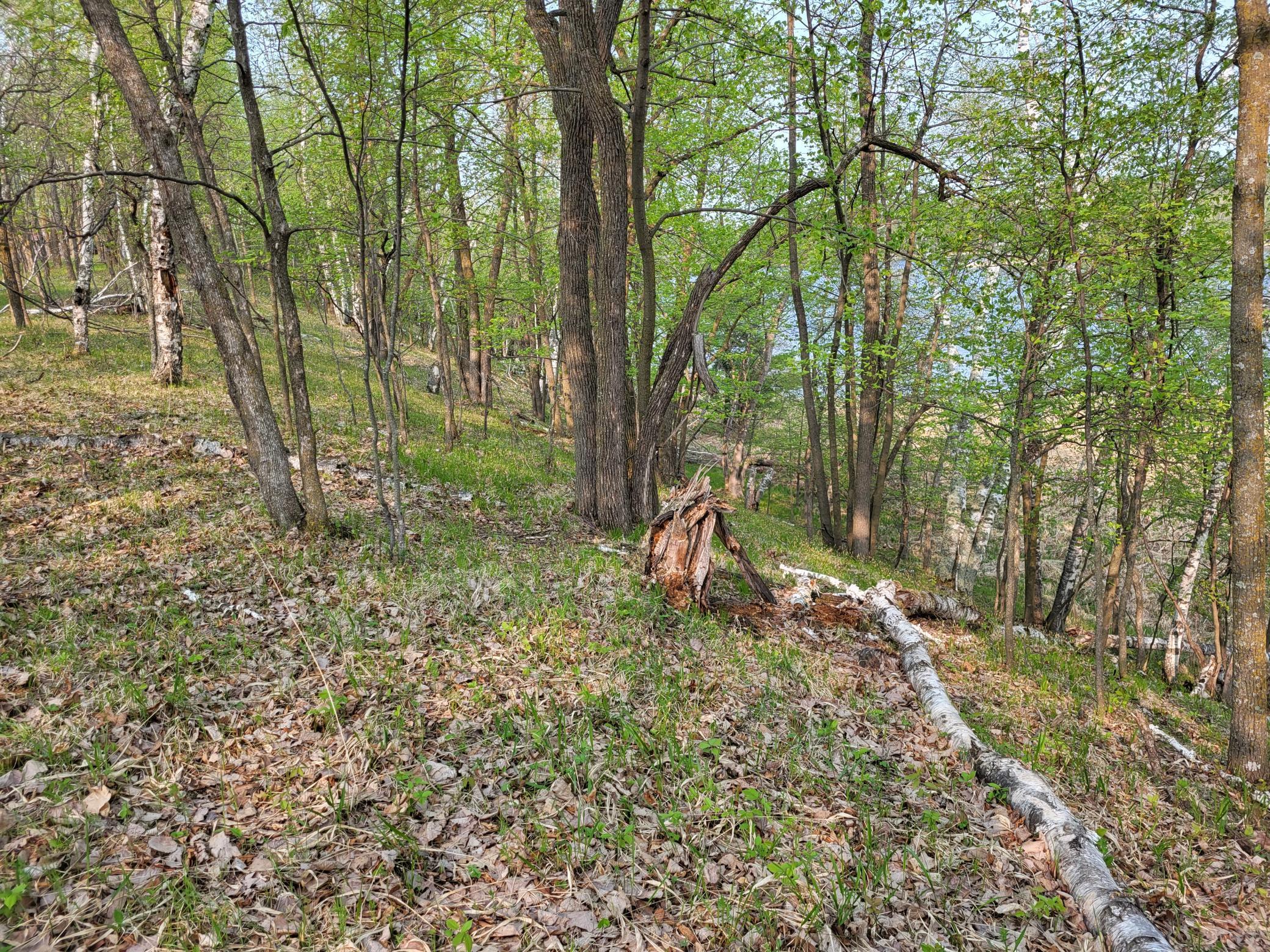 XXX Crow Point Trail