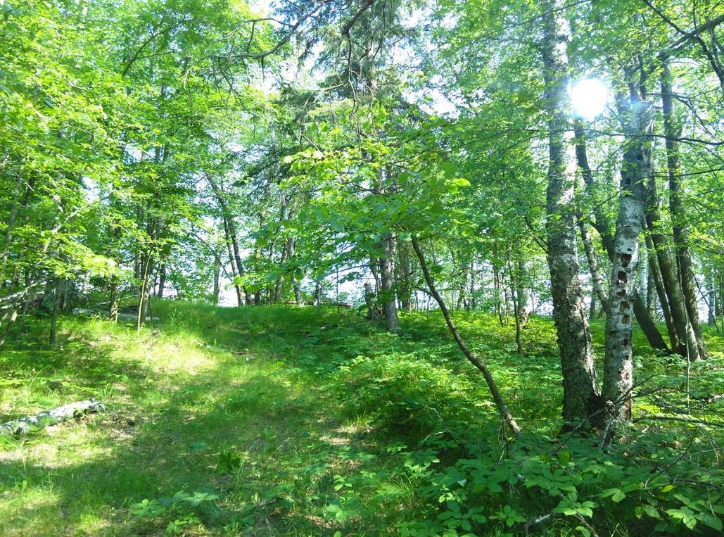 XXX Crow Point Trail