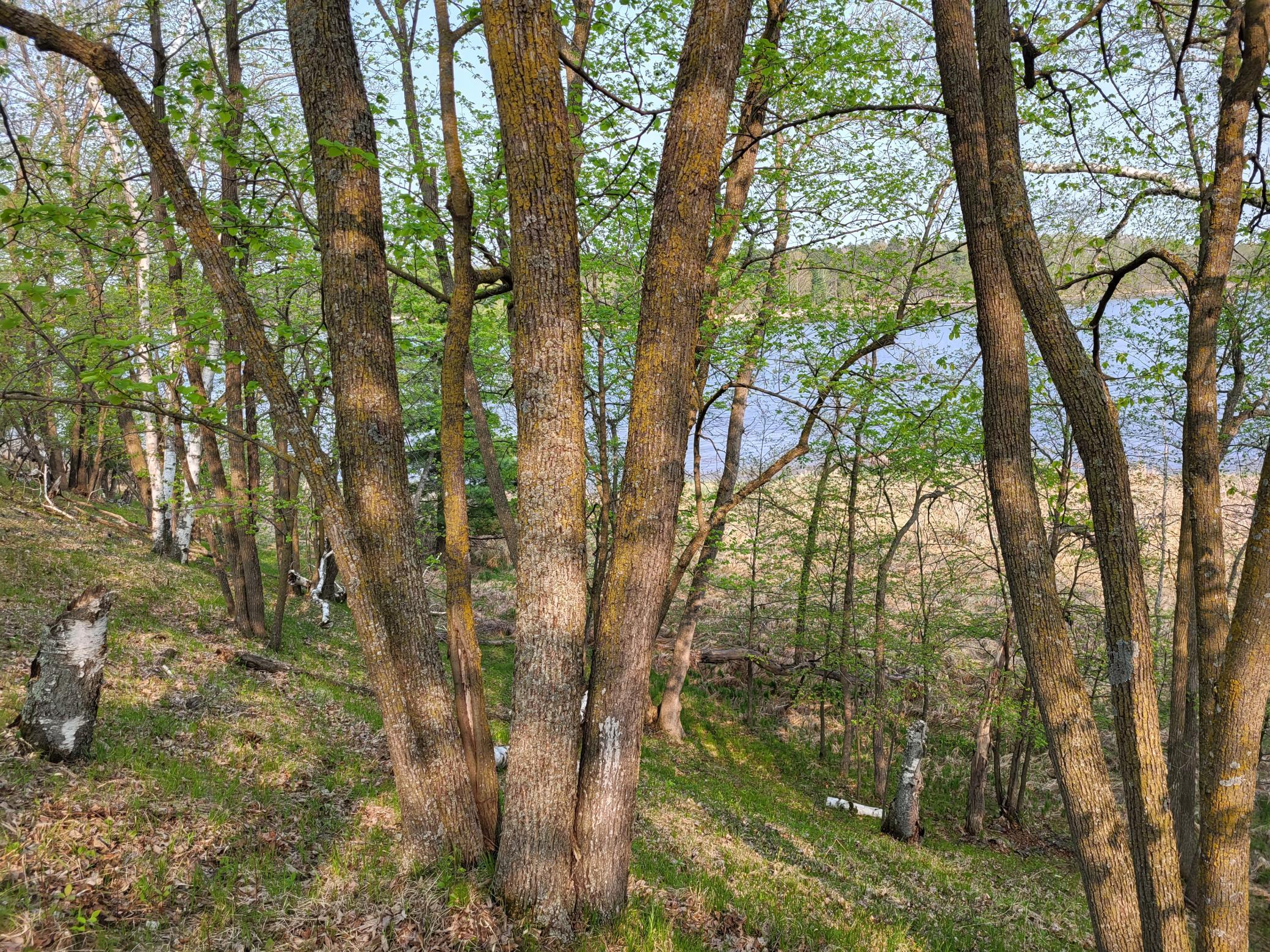 XXX Crow Point Trail