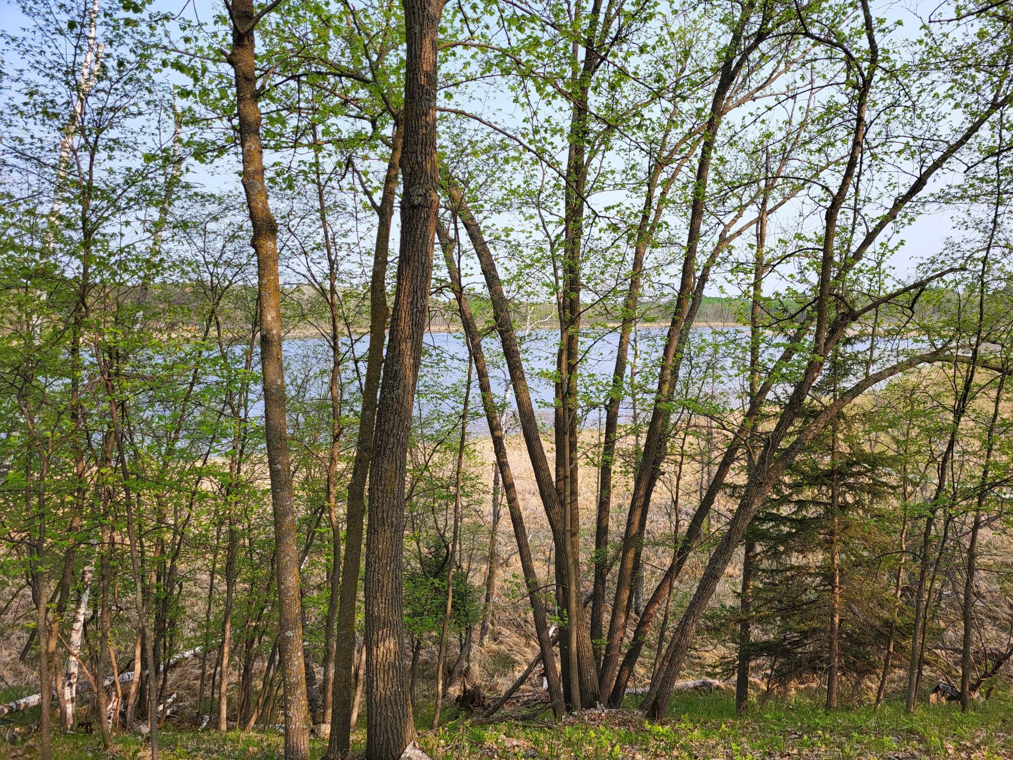 XXX Crow Point Trail