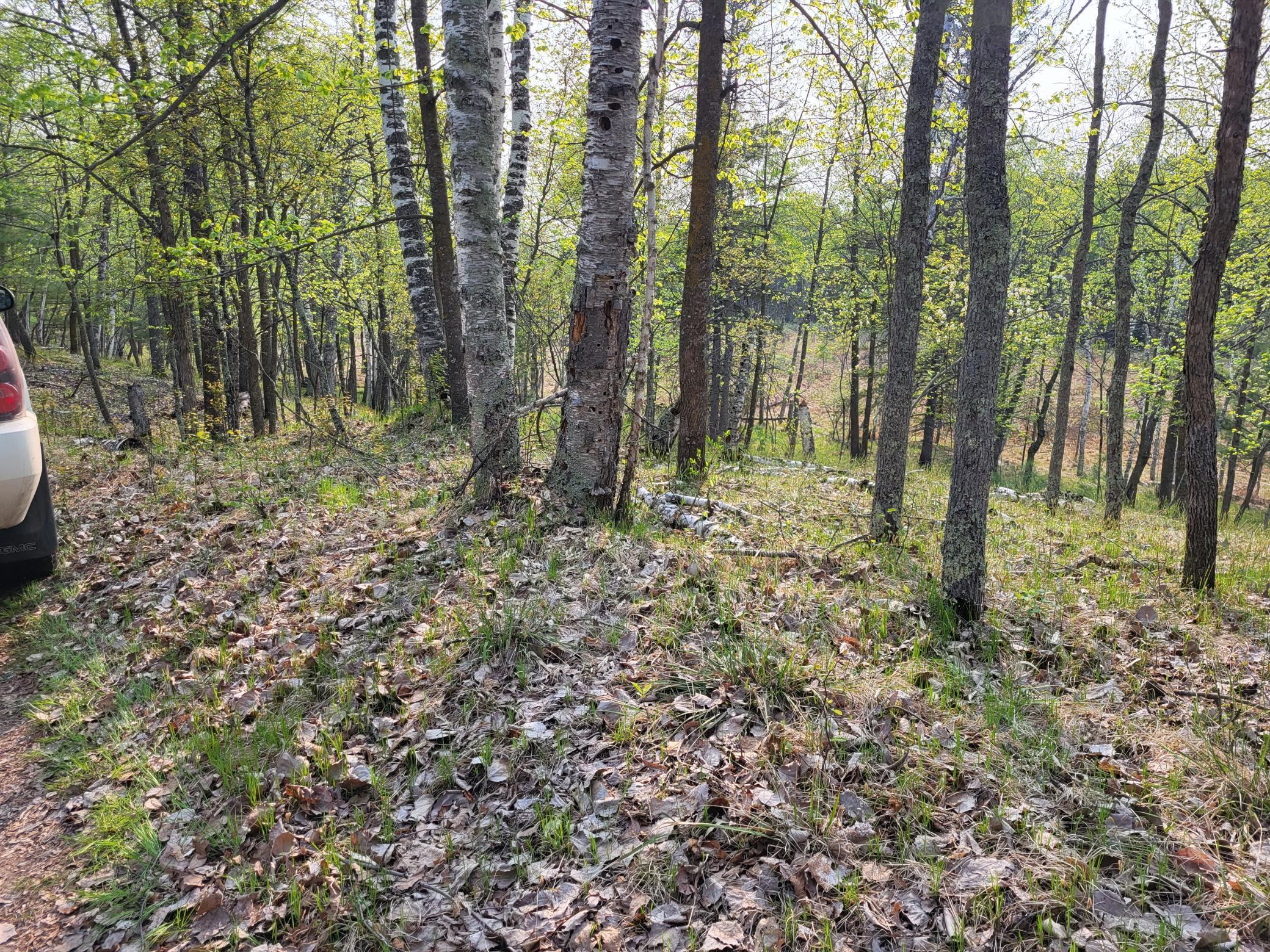 XXX Crow Point Trail