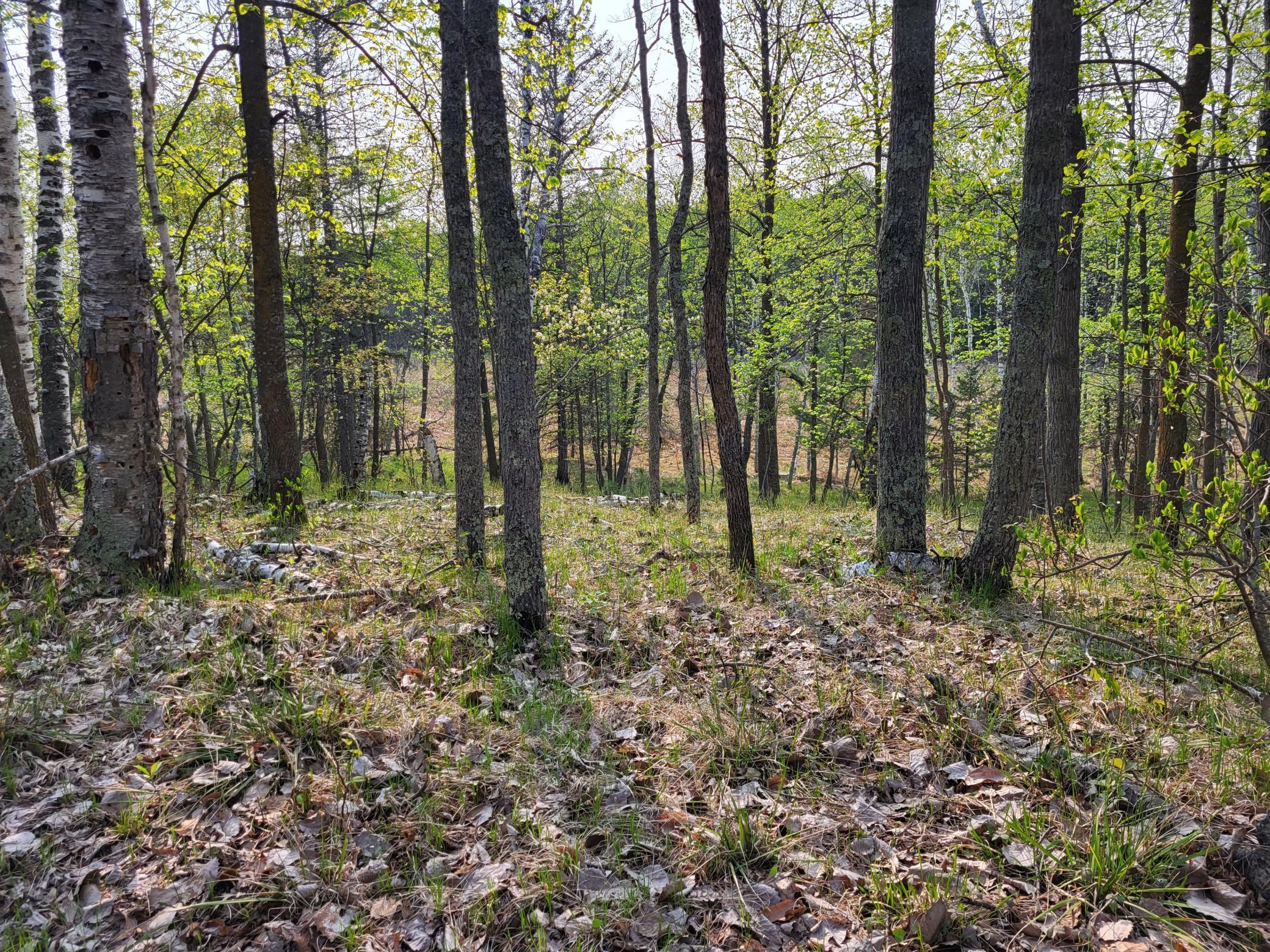 XXX Crow Point Trail