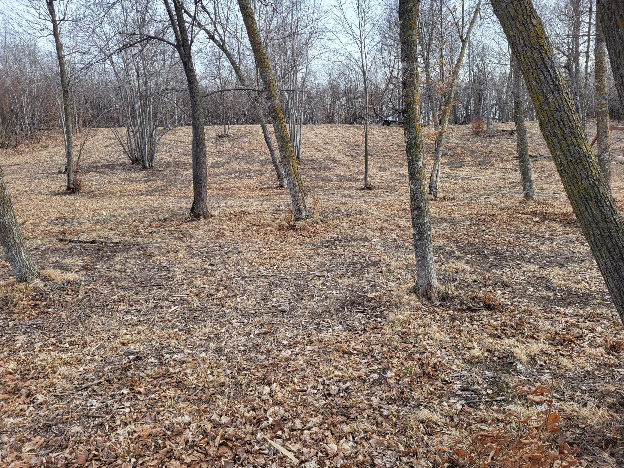 18.45 ac Long Lake Road