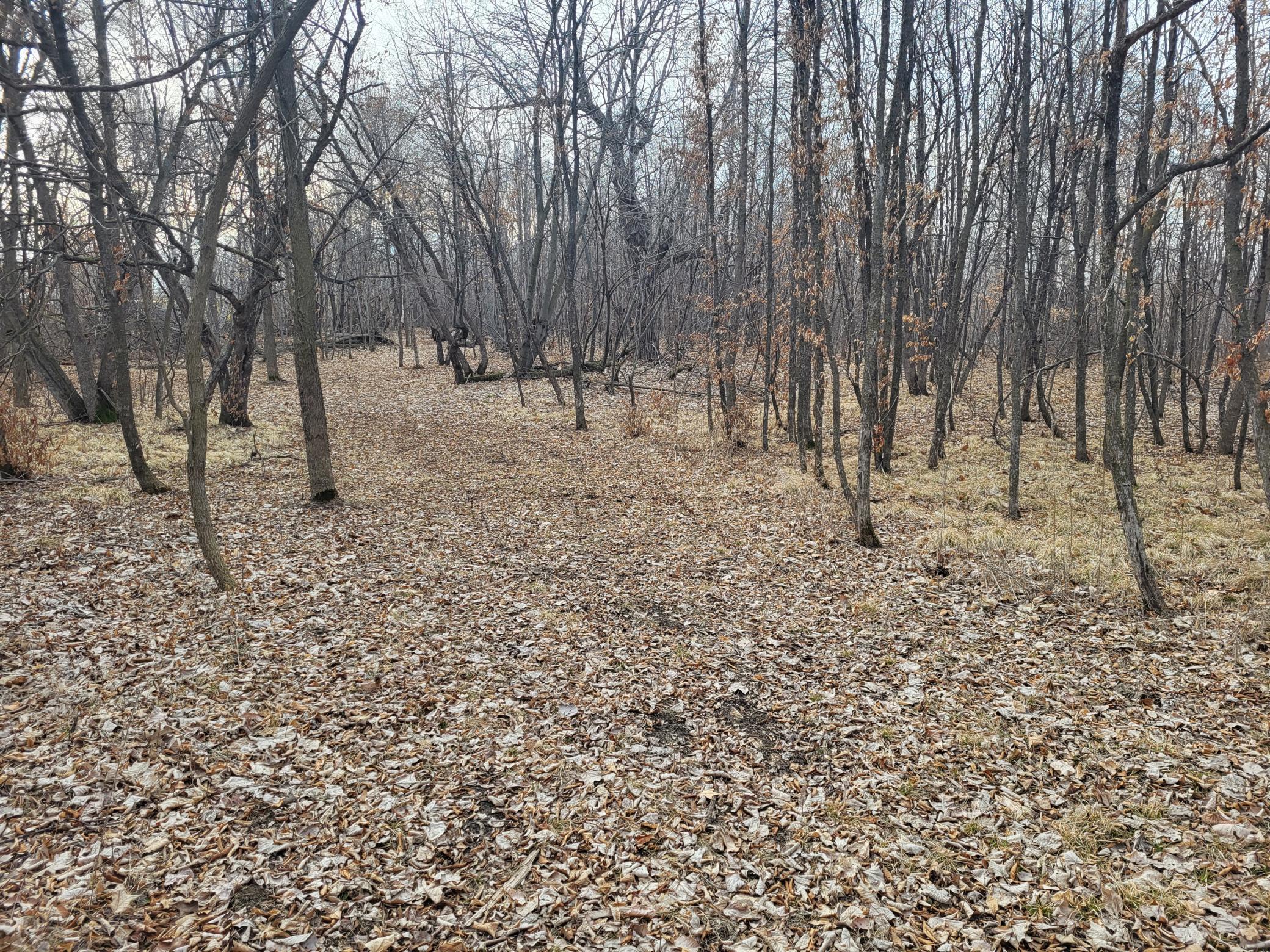18.45 ac Long Lake Road