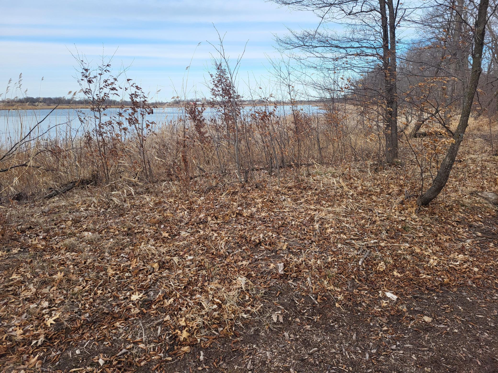 18.45 ac Long Lake Road