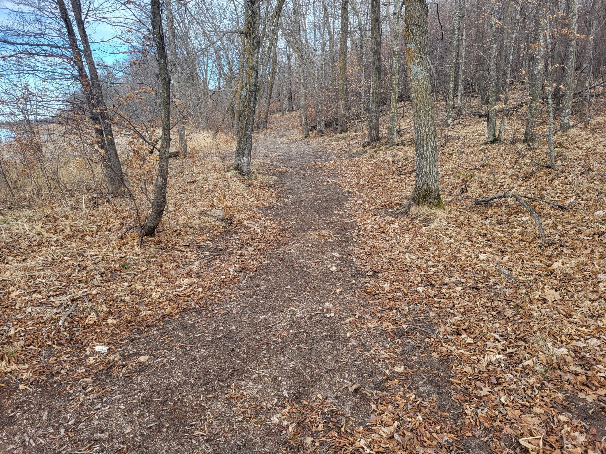 18.45 ac Long Lake Road