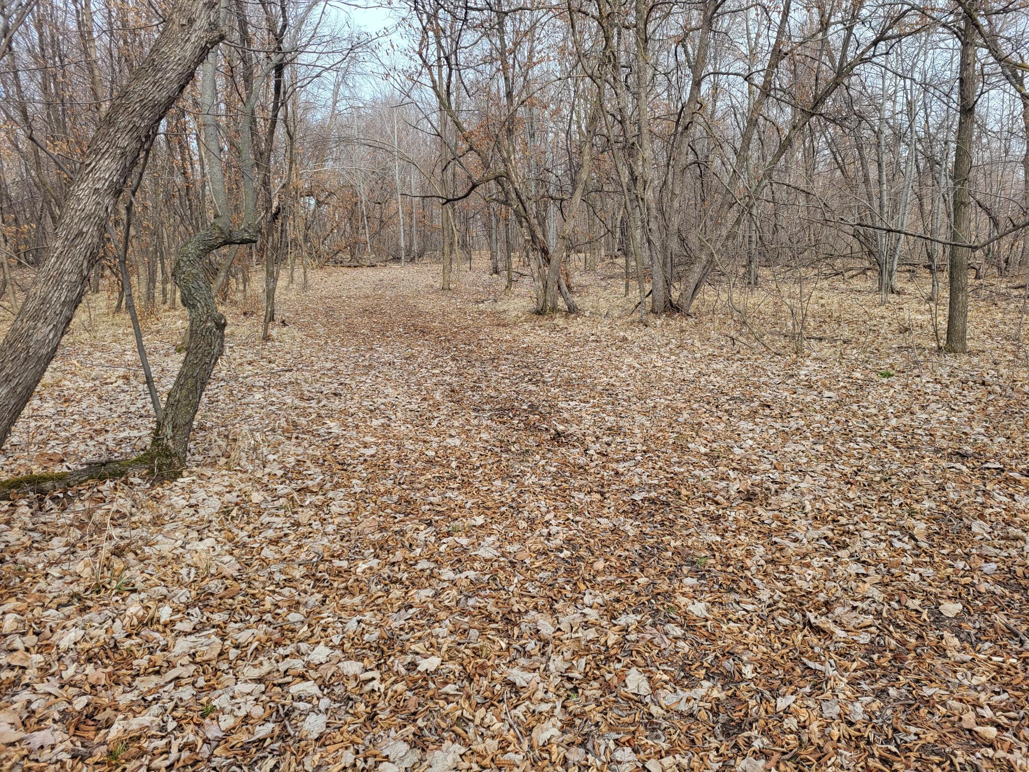 18.45 ac Long Lake Road