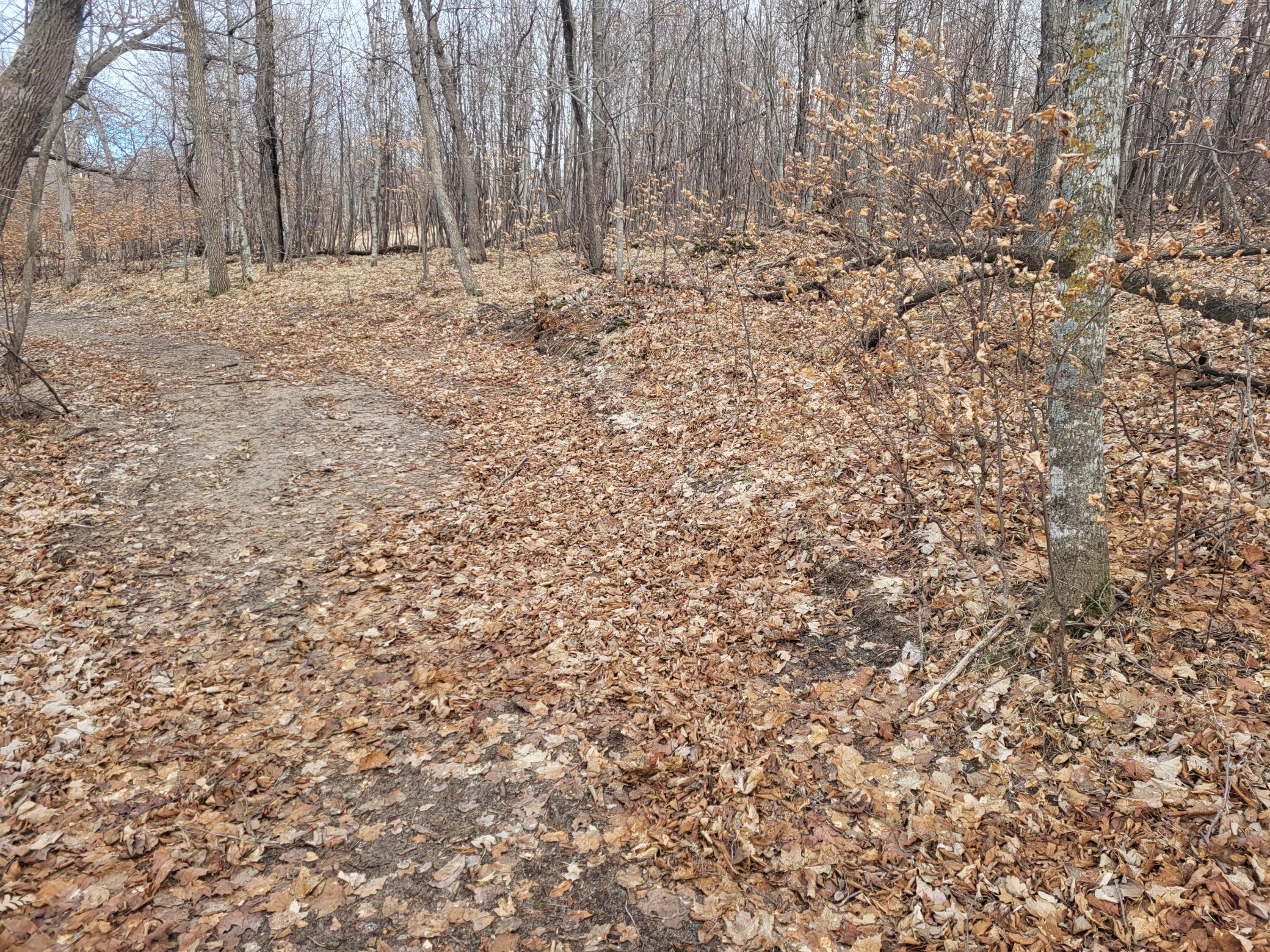 18.45 ac Long Lake Road