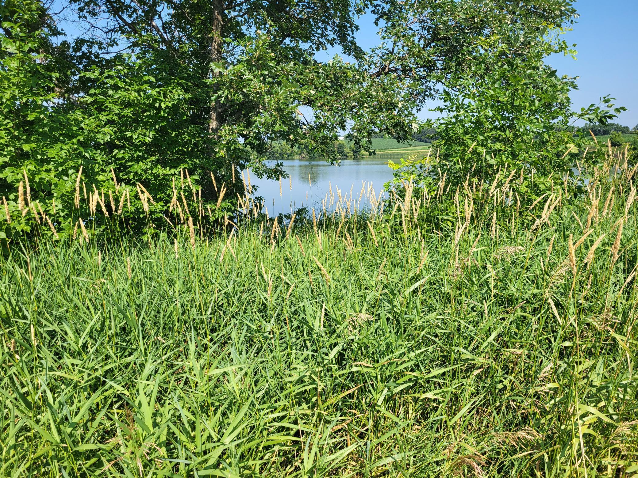 13865 Co Rd 35
