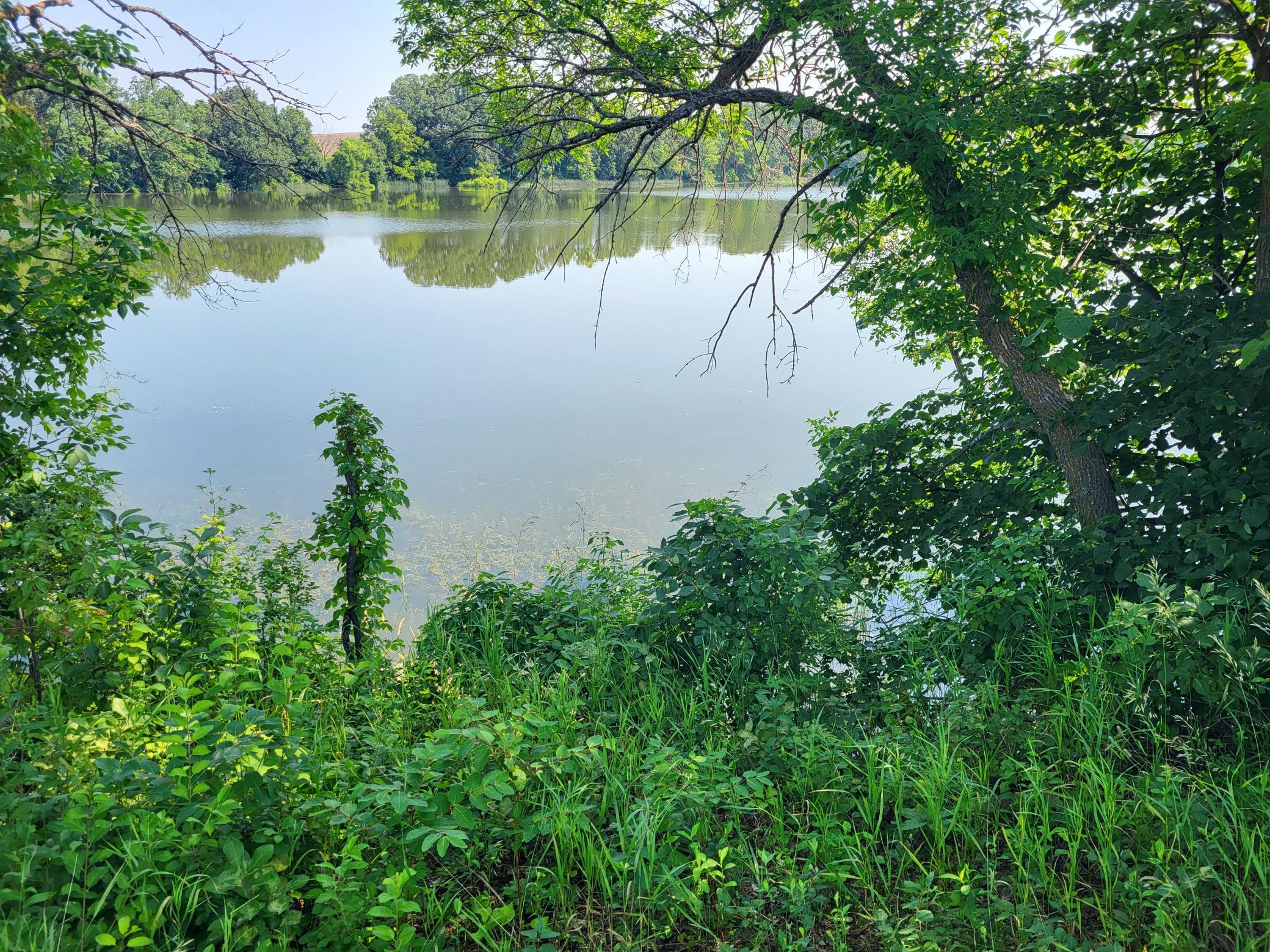 13865 Co Rd 35