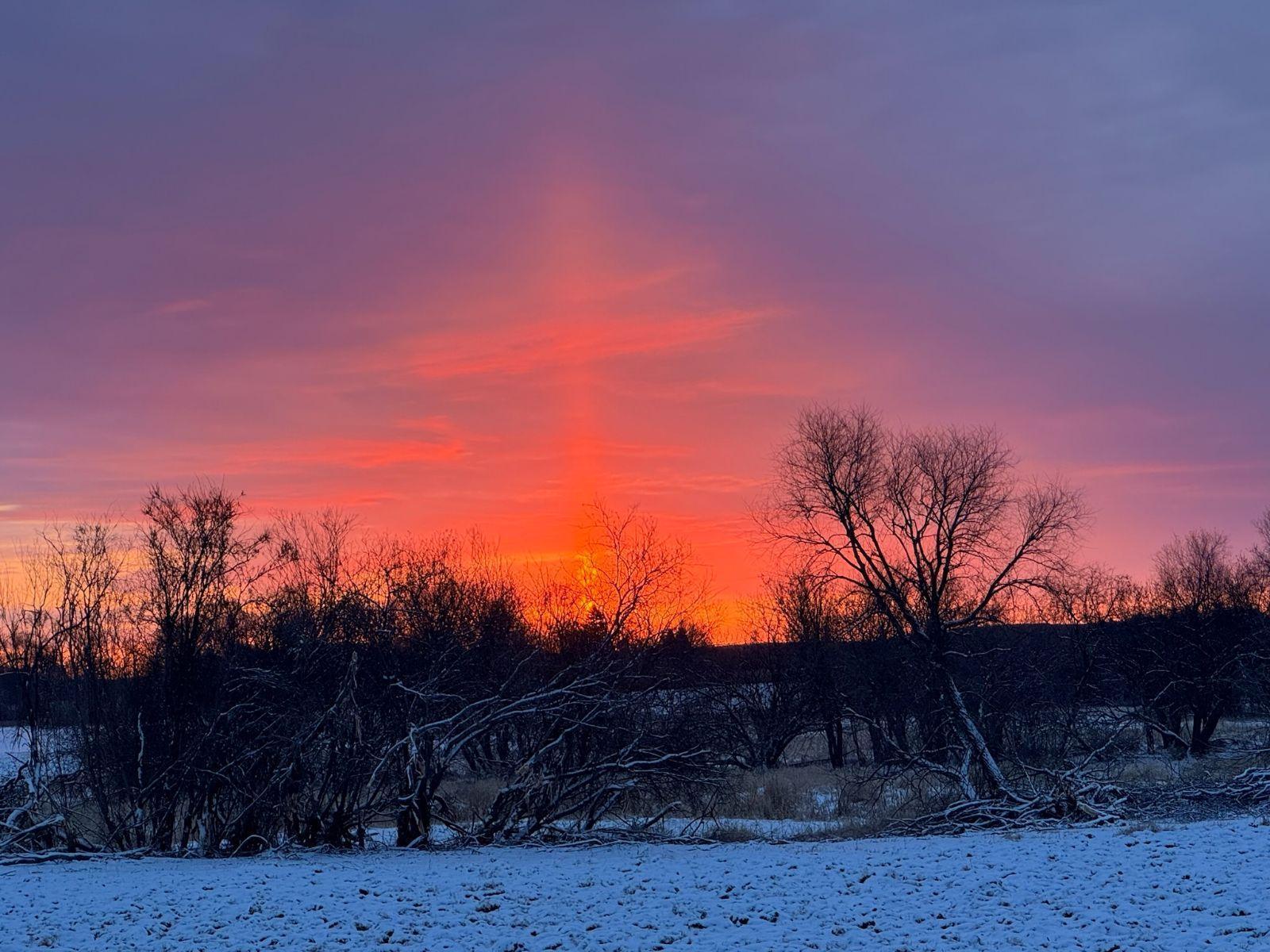 33885 Starridge Drive