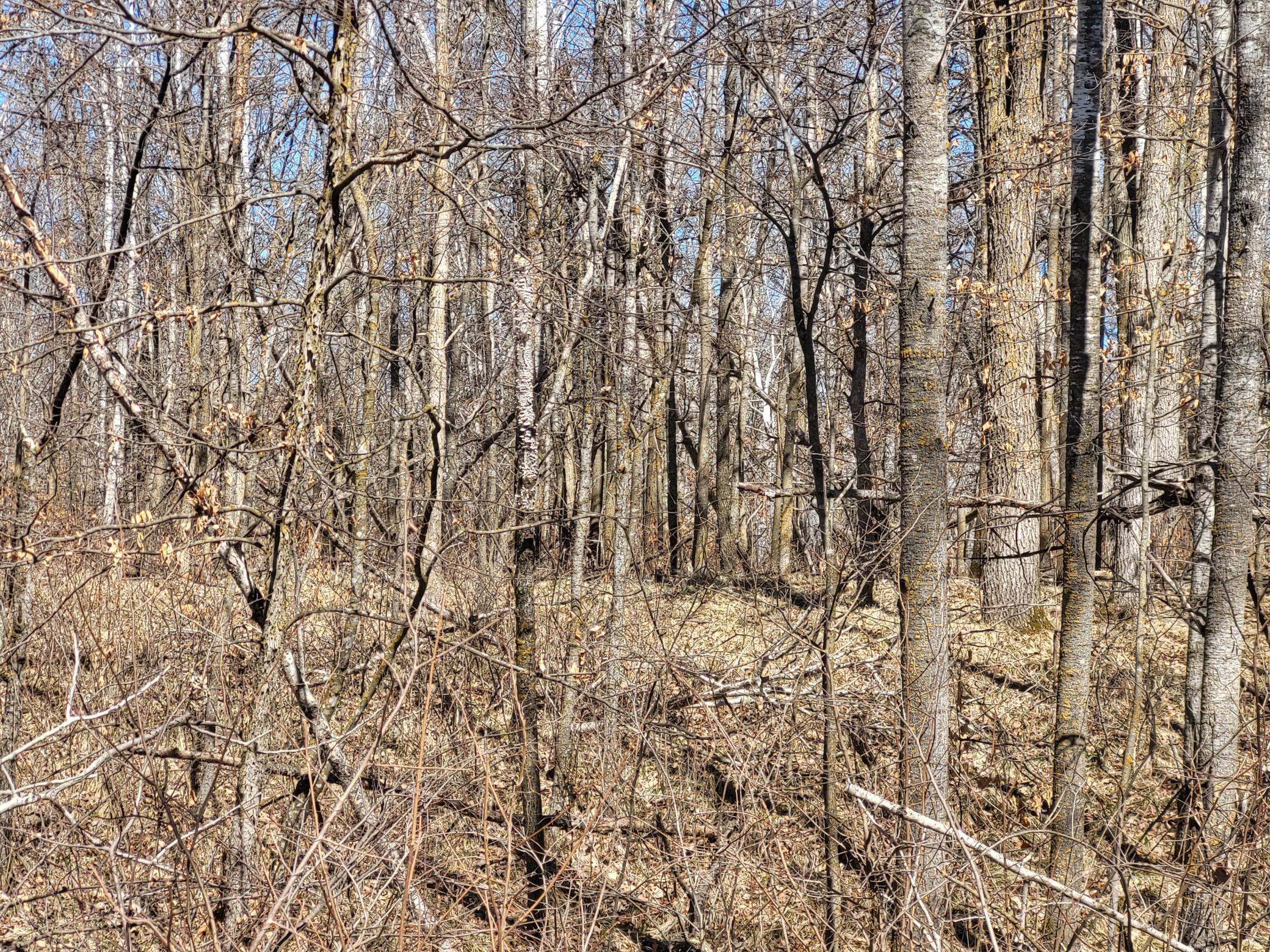 TBD 139.56ac 360th Avenue