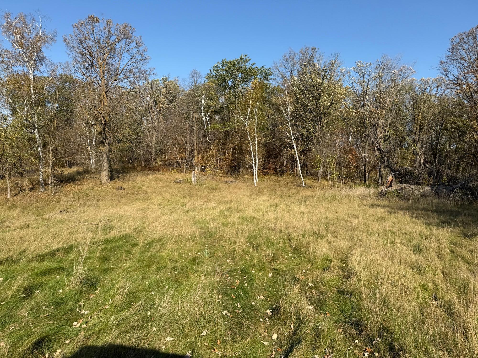 TBD 139.56ac 360th Avenue